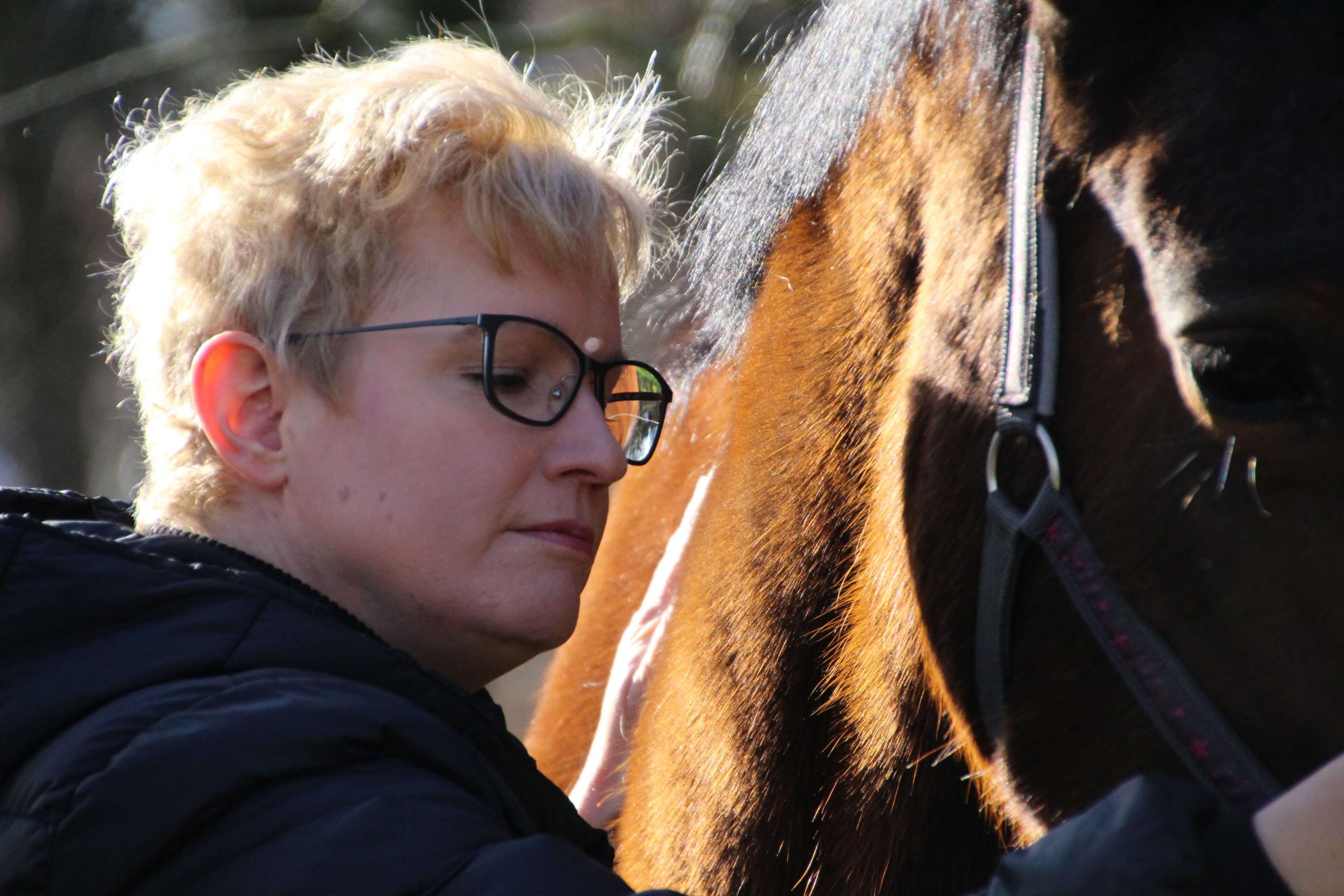 Heilströmen Pferd Nicole beim Heilströmen eines Pferdes