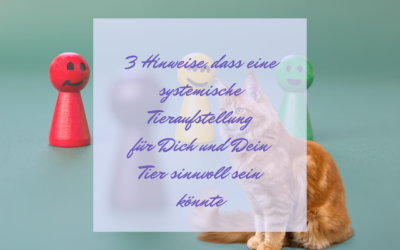 3 Hinweise, dass eine systemische Tieraufstellung für Dich und Dein Tier hilfreich sein könnte