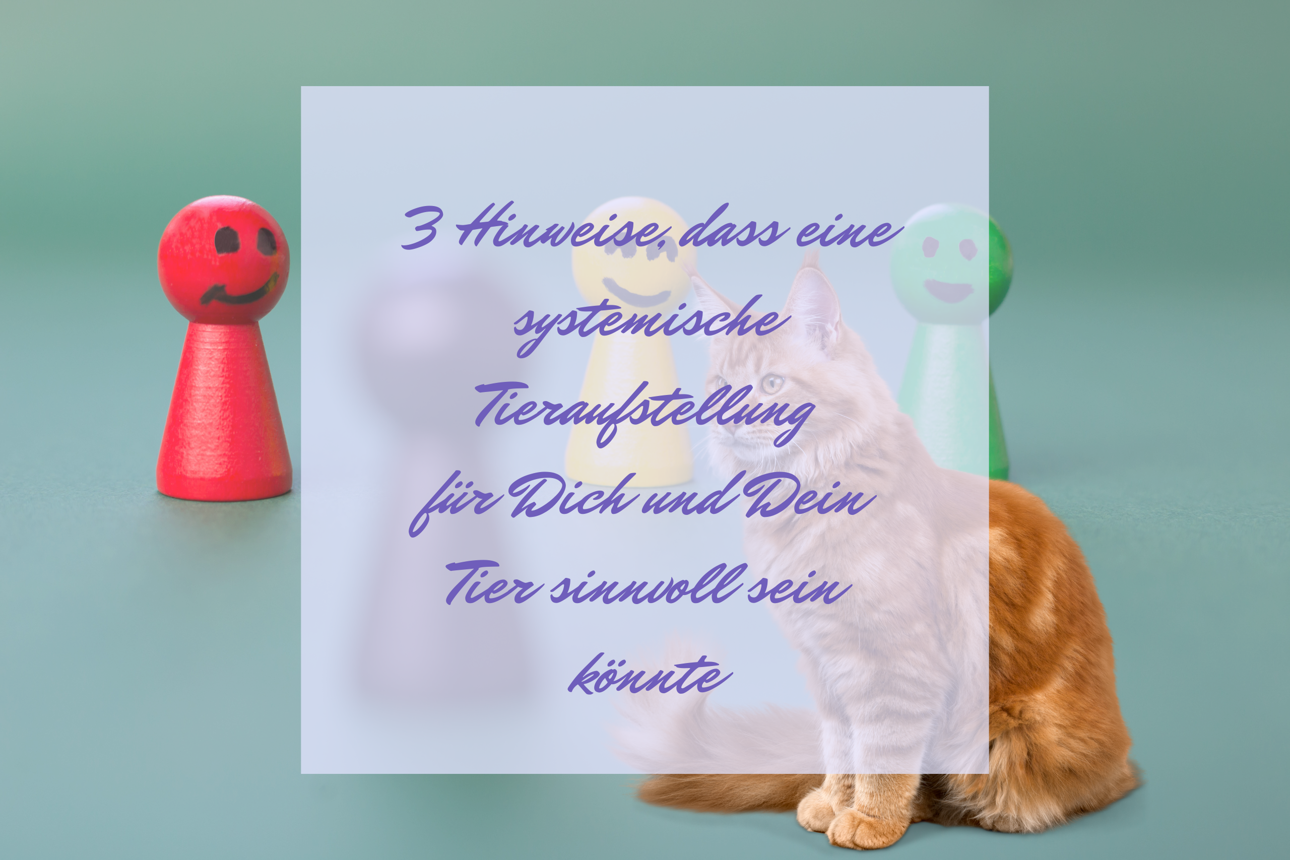 3 Hinweise, dass eine systemische Tieraufstellung für Dich und Dein Tier sinnvoll sein könnte