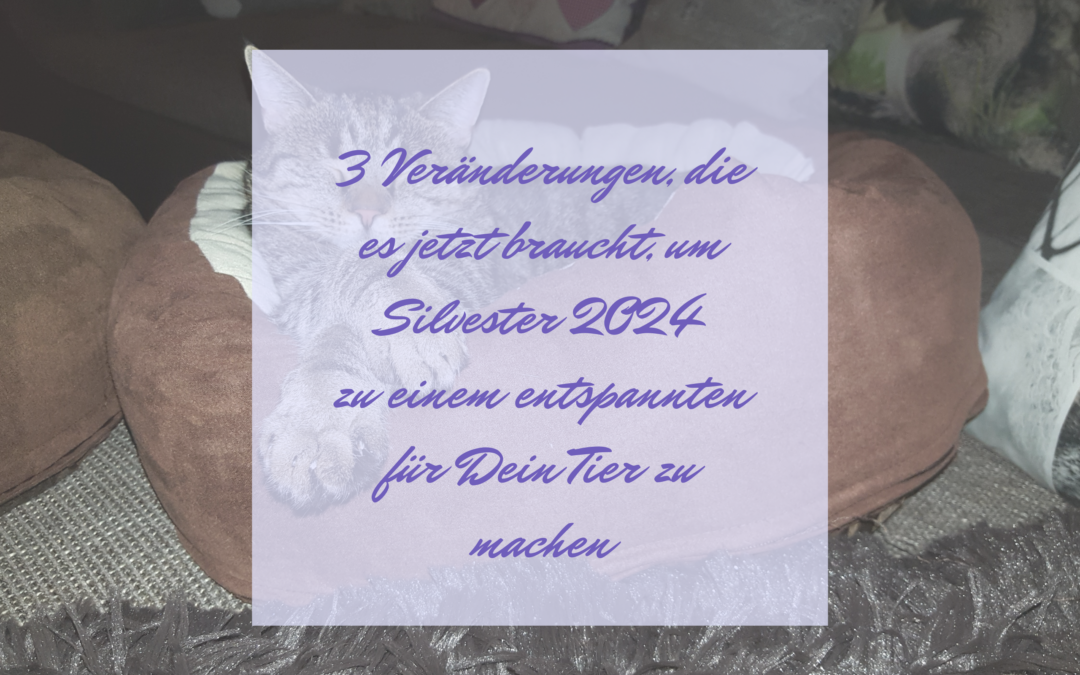 3 Veränderungen, die es jetzt braucht, um Silvester 2024 zu einem entspannten für Dein Tier zu machen