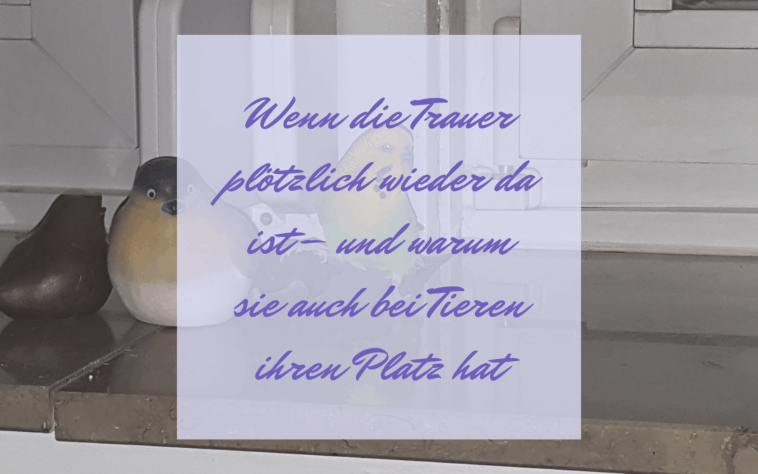 Wenn die Trauer plötzlich wieder da ist – und warum auch die Trauer um ein Tier ihren Platz hat