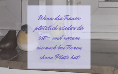 Wenn die Trauer plötzlich wieder da ist – und warum auch die Trauer um ein Tier ihren Platz hat
