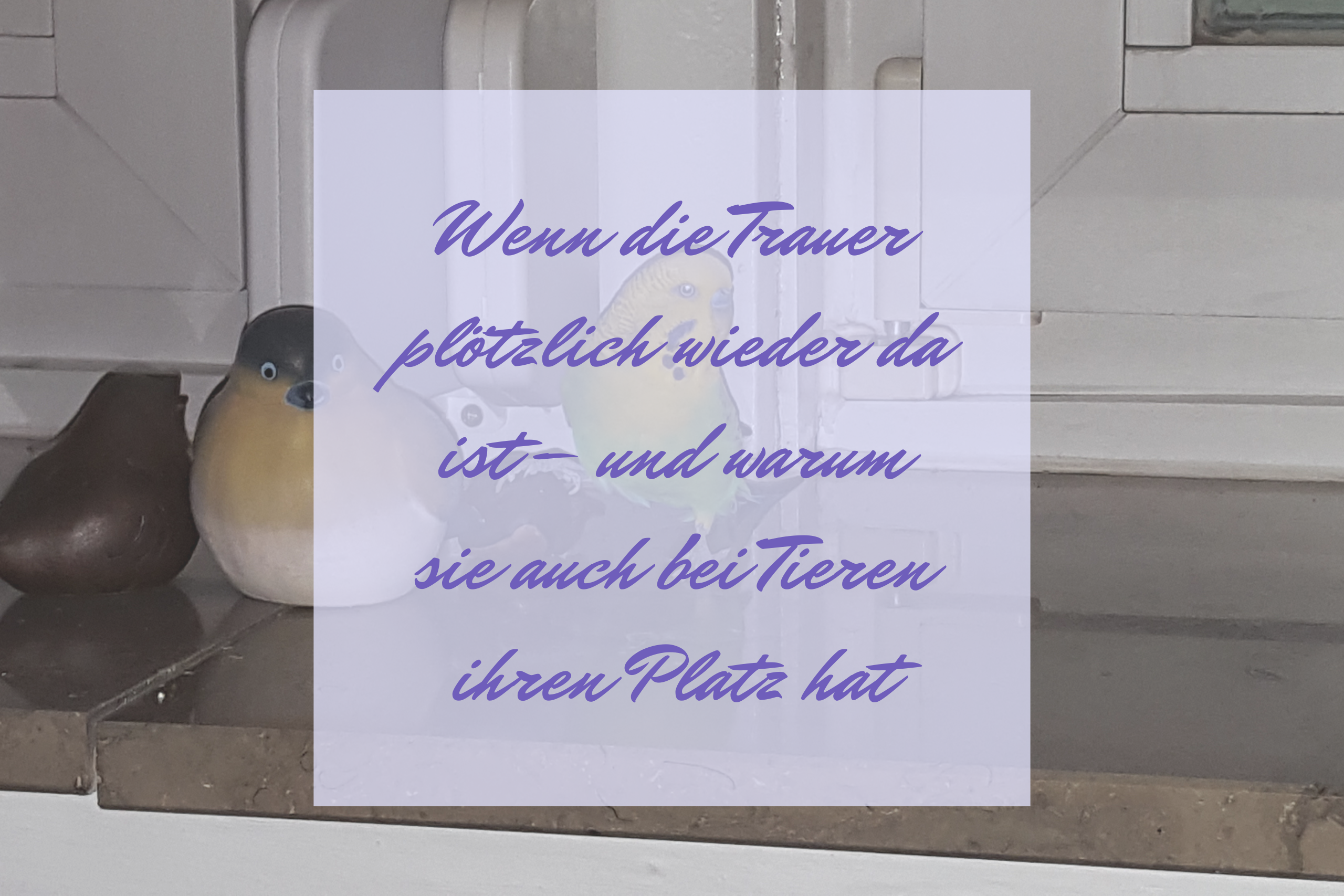 Wenn die Trauer plötzlich wieder da ist – und warum sie auch bei Tieren ihren Platz hat