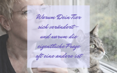Warum Dein Tier sich verändert und warum die eigentliche Frage oft eine andere ist