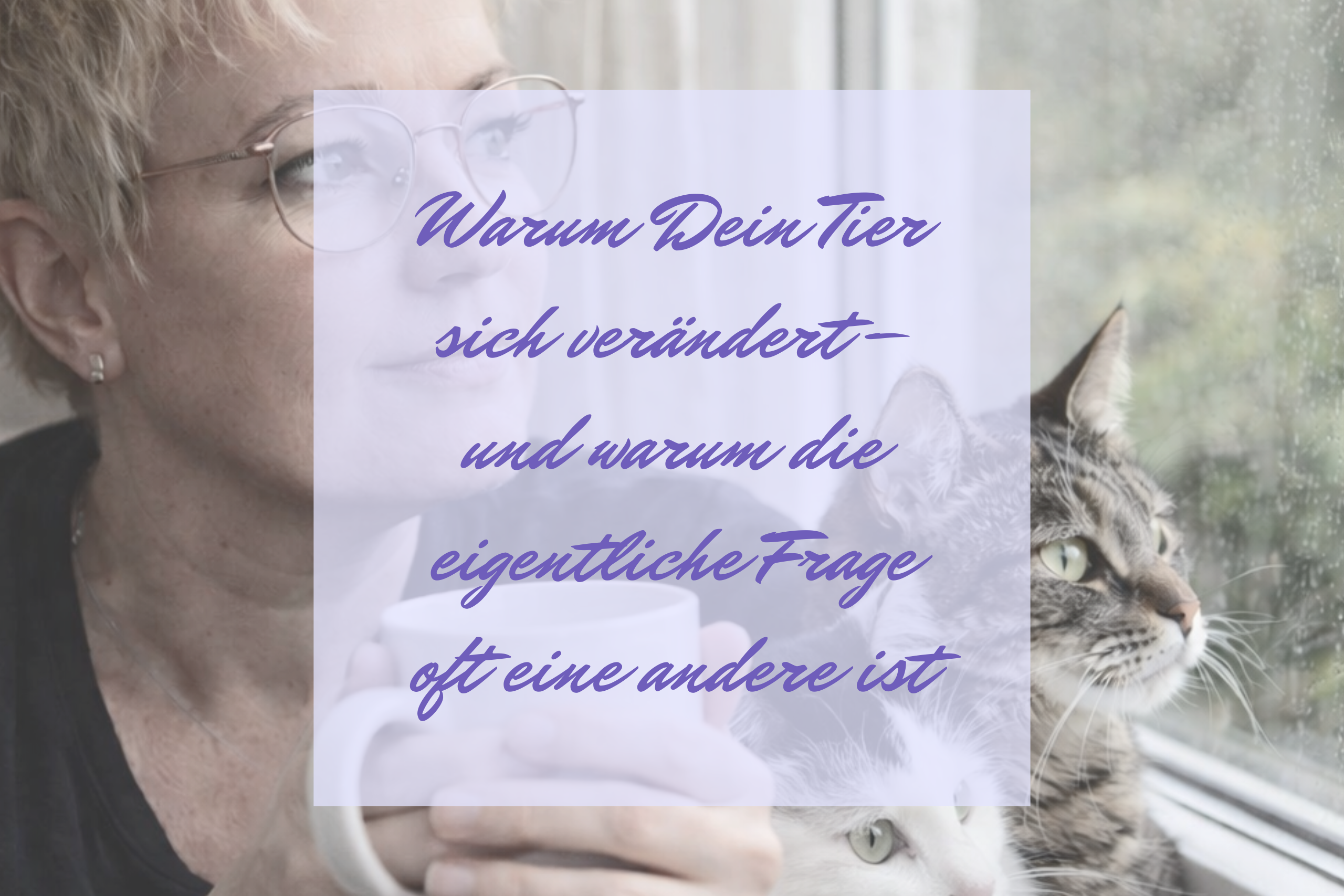 Warum Dein Tier sich verändert – und warum die eigentliche Frage oft eine andere ist
