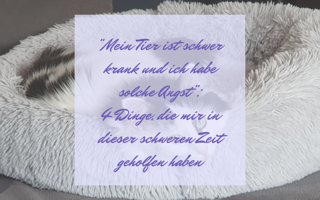 „Mein Tier ist schwer krank und ich habe solche Angst“: 4 Dinge, die mir in dieser schweren Zeit geholfen haben